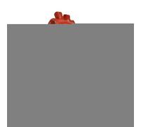 Fake Heart Props, Bloody Heart, Halloween Blood Heart Props, Haunted House Decoration Prop, Human Heart for Halloween, Home Decoration