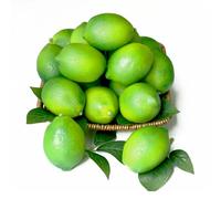 Fake Limes Artificial Lemons with Leaves Fake Fruit Lemon Decorations for Kitchen Fake Green Lemons Decorative Fruit Simulation Lifelike Faux Limes for Party Bowl Home Photography Props 20Pcs(Green)