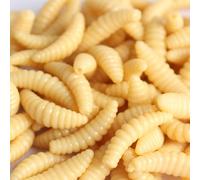 Fake Maggots - 50pcs 2cm 0.3g Maggot Grub Soft Lure Baits Worms Fishing Lures - Maggots Fishing Bait (Yellow)