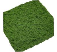 Fake Moss 39.4x39.4 Inch Plastic Artificial Moss Realistic Looking Faux Moss Nutural Fake Green Lichen Plants for Plant Pot Crafting Garden Patio Decoration Light Green Faux Moss Artificial Moss Artif