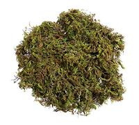 Fake Moss for Crafts: Artificial Moss Decorative Preserved Green Filler for Indoor Plant Pots, Wreath Making, Terrarium, Fairy Garden, Diorama, Floral Arrangement, 60g