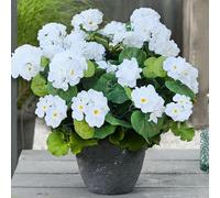 Fake Outdoor Flowers, 6 Pcs Artificial Flowers For Outdoors, White Artificial Geraniums Plastic Flowers, Fake Plant For Outside, Silk Faux Flowers For Outdoor Planters UV Resistant For Front Porch