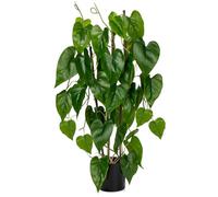 Fake Plants - 76cm Artificial Potted Large Floor Tree & Vine Plant in Black Pots - Decorative Faux Pothos & Devil's Ivy for Office, Home, Bathroom, Bedroom & Outdoor Decor