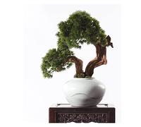 Fake Plants Artificial Bonsai Tree Living Room Simulation Tree Decoration Ceramic Flower Pot Simulation Green Leaves Fake Plants Home Office Ornaments Bonsai Tree