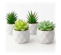 Fake Plants Set of 4 - Artificial Succulent Plants in Mini Ceramic Pots Small Faux Plants for Indoor Decor Realistic Greenery for Shelf Desk Bathroom Bedroom Living Room & Office