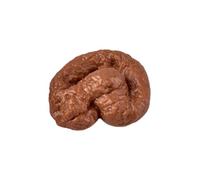 Fake Poop - Funny Fidget Toy Prank, Realistic Fake Fly Set | Halloween Decor Bathroom Bedroom Floor Prank Props, Tricky Novelty Toy For Drawer Table Bathtub Practical Jokes