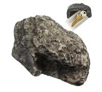 Fake Rock Key Safe Outdoor | 1 Pc/2 Pcs Key Hider Storage Box | Simulation Stone Spare Key Hidden Safe | Rocks Shape Key Case Secret Safe for Outdoor Lawn Garden Decor