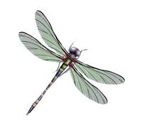 fake tattoos, temporary tattoos,3 Sheets Colourful Dragonfly Temporary Tattoo Stickers Small Pattern Shoulder Arm Ankle Realistic Fake Tattoo, green