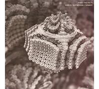 Fake the Facts - Fake the Facts