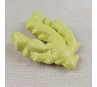 Fake Vegetable for Autumn Decor Lifelike Simulation Model for Photography Props and Classroom Learning (3)