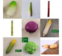 Fake Vegetable for Autumn Decor Lifelike Simulation Model for Photography Props and Classroom Learning (18)