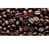 Fakhri Asian Coffee Beans 2kg | Medium Roast | Smooth, Nutty & Chocolate Flavour | Freshly Roasted Gourmet Coffee