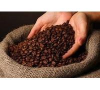 Fakhri Brazilian Coffee Beans 10kg | Premium Arabica | Medium Roast with Smooth, Nutty & Chocolate Notes | Freshly Roasted Coffee