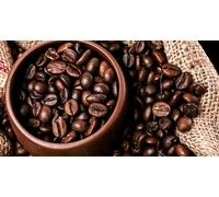 Fakhri Brazilian Coffee Beans 5kg | Premium Arabica | Medium Roast with Smooth, Nutty & Chocolate Notes | Freshly Roasted Coffee