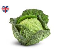 Fakhri British Savoy Cabbage | Fresh UK-Grown Cabbage | Ideal for Stir-Fry, Soups, Roasting & Airsoft Outdoor Meals