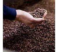 Fakhri Coffee Roasted Brown 10kg - Fresh Medium Roast Whole Beans with Bold Aroma | Perfect for Espresso, Filter Coffee & Daily Home Brewing