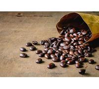 Fakhri Coffee Roasted Brown 500g - Medium Roast Whole Coffee Beans for Rich Aroma | Fresh Roasted Beans for Espresso, Filter & Home Brewing