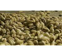 Fakhri Green Arabica Coffee Beans 2kg - Pure Unroasted Beans Ideal for Home Roasting, Clean Brewing & Tailored Roast Intensity