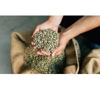 Fakhri Green Coffee Beans 2kg - Premium Unroasted Arabica Beans for Home Roasting, Fresh Brewing, Weight Management & Antioxidant-Rich Coffee