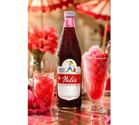 Fakhri HALE'S Blue Boy Sala Flavour Syrup - Healthy Summers Beverage Essential