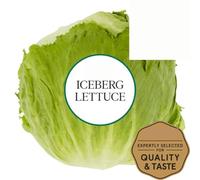 Fakhri Iceberg Lettuce Each | Crisp Lettuce for Salads, Sandwiches & Wraps | Fresh Crunchy Leaves for Healthy Meals