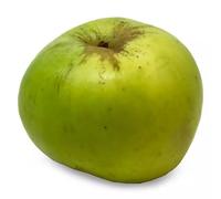 Fakhri Large Bramley Apple - Tangy, Juicy & Ideal for Cooking | Perfect for Pies, Crumbles, Baking & Healthy Eating