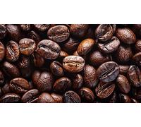 Fakhri Roasted Brown Coffee Beans 500g - Rich Aroma, Full-Bodied Flavour Premium Blend for Espresso, Filter Coffee & Daily Brewing