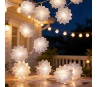 Falafoty Decorative Flower Fairy String Lights, 3M 20LED Indoor Warm White Fairy Light Clear Cable,Battery Powered Blossom Flower Lights for Bedroom Home Wedding Valentines Birthday Spring Decoration