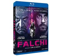 Falchi