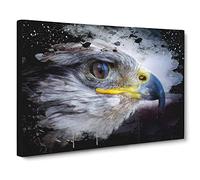 Falcon Bird No.2 Modern CB Canvas Wall Art Print Ready to Hang, Framed Picture for Living Room Bedroom Home Office Décor, 20x14 Inch (50x35 cm)