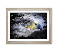 Falcon Bird No.2 Modern CB Framed Print | A4 Oak Framed Wall Art | Ready to Hang | Modern Nature Picture | Living Room Bedroom Lounge Office