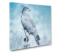 Falcon Bird with a Winter Scene Canvas Print | Gallery Wrapped 30mm Frame Wall Art | 14x14 inches | Ready to Hang | Abstract Animals Picture | Living Room Bedroom Lounge Office