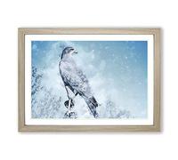 Falcon Bird with a Winter Scene in Abstract Framed Print | A2 Oak Framed Wall Art | Ready to Hang | Abstract Landscape Picture | Living Room Bedroom Lounge Office