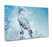 Falcon Bird With A Winter Scene In Abstract Modern Art Canvas Wall Art Print Ready to Hang, Framed Picture for Living Room Bedroom Home Office Décor, 20x14 Inch (50x35 cm)