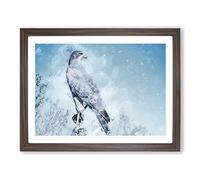 Falcon Bird With A Winter Scene In Abstract Modern Art Framed Print | A3 Walnut Framed Wall Art | Ready to Hang | Abstract Landscape Picture | Living Room Bedroom Lounge Office