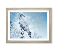 Falcon Bird With A Winter Scene In Abstract Modern Art Framed Wall Art Print, Ready to Hang Picture for Living Room Bedroom Home Office Décor, Oak A3 (46 x 34 cm)