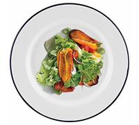 Falcon Enamelware Enamel Plates, 20cm Round Dinner Plates, Wide Rim, Solid Color, Glossy Finish, Case of 12