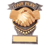 Falcon Fair Play Trophy Award,Multisport Award,105mm,Free Engraving PA20055A-TRD