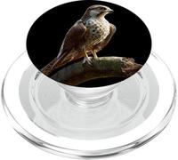 Falcon Kestrel Falcons Hunting Peregrine Birds Falconry PopSockets PopGrip for MagSafe