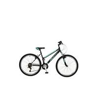Falcon Vienne Mountain Bike One Colour