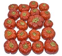 Falcon Workshop Supplies Ltd 25 DRIED MINI PUMPKIN SOLANUM WHOLE FRUIT, HALLOWEEN CHRISTMAS CRAFT WREATH FLORIST