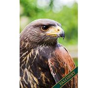 Falconry: Desert Hawk, Desert Buzzard, Harris Hawk. Format A5, 120 pages, fine light grey lined. Daily entries, notes and journal for the falconer, the falconer, nature and bird friends.