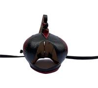 Falconry Hood Rollins Dutch Size 61