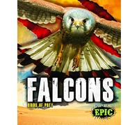 Falcons