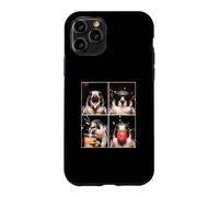 Falcons funny Falcon Case for iPhone 11 Pro