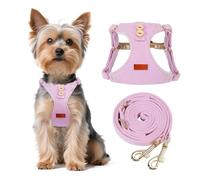 Faleela No-Pull Puppy Harness & Leash Set - 7 Color Options, Soft, Adjustable, Choke-Free, Escape-Proof, Lightweight Cute Pet Vest for Small & Medium Dogs (Pink, XXS)
