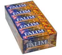 Falim Mixed Fruit Flavored Sugar-Free Chewing Gum 5-Pack 20 Pieces