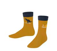 FALKE Unisex Kids Dinosaurs Socks Breathable Cotton Reinforced Hard-Wearing Skin-Friendly Do Not Slip In Shoe With Dinosaur Pattern 1 Pair