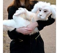 Falkor the Luck Dragon Plush - Handmade Soft Stuffed Toy, Unique Hand-Sculpted 30cm Dragon Doll