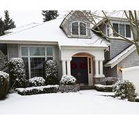 Fall and Winter Care of Trees and Shrubs